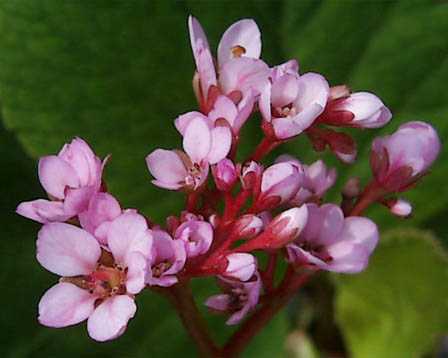 今日の言葉：ゲーテ