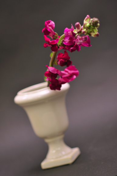 今日の言葉：ヘレン・ケラー