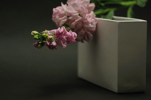 今日の言葉：シラー