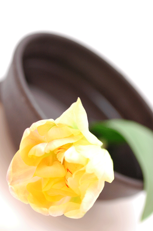 今日の言葉：オスカー・ワイルド