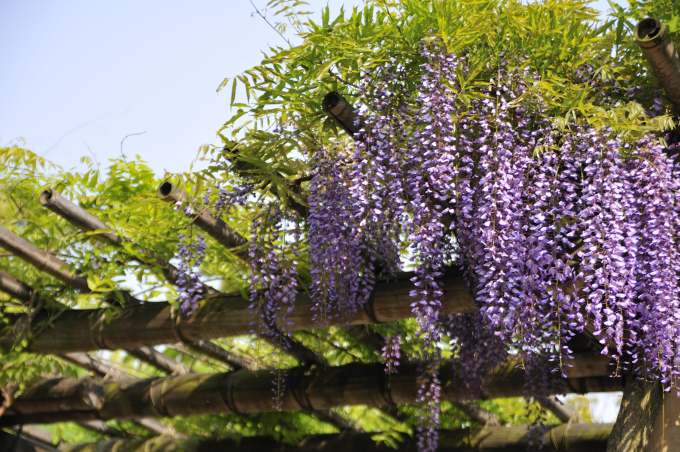 今日の言葉：ゲーテ