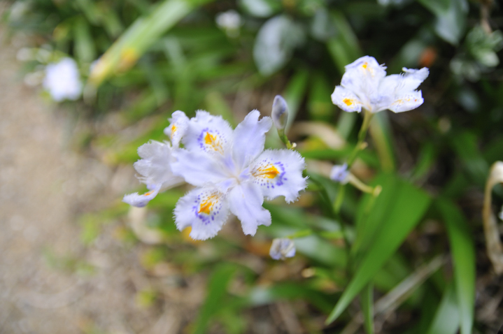 今日の言葉：マイケル・ジョーダン