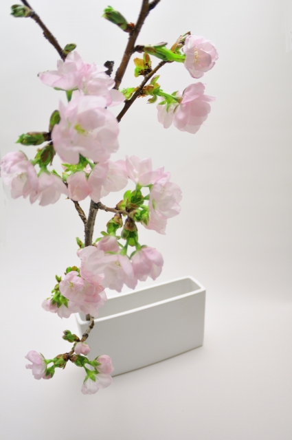 今日の言葉：フリーチェ