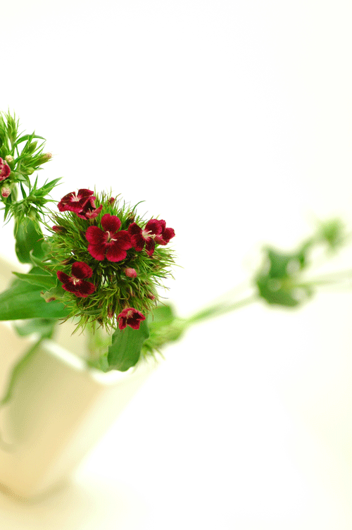 今日の言葉：ジョージ・ワシントン