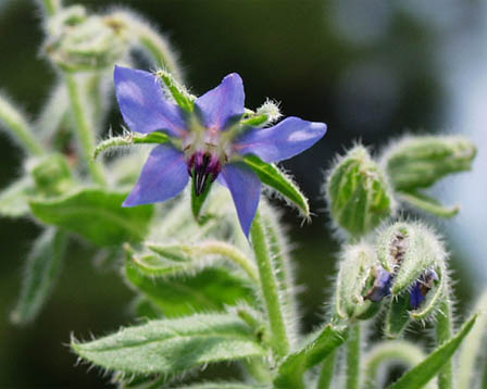 今日の言葉：E・キャディ＆D・Eプラッツ