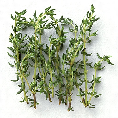 今日の言葉：「幸福の迷宮」アレックス・ロビラ