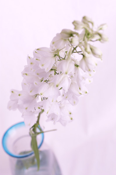 今日の言葉：アレックス・ロビラ