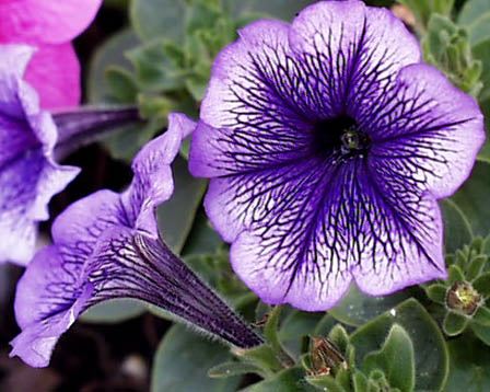 今日の言葉：「愛することを選ぶ」より